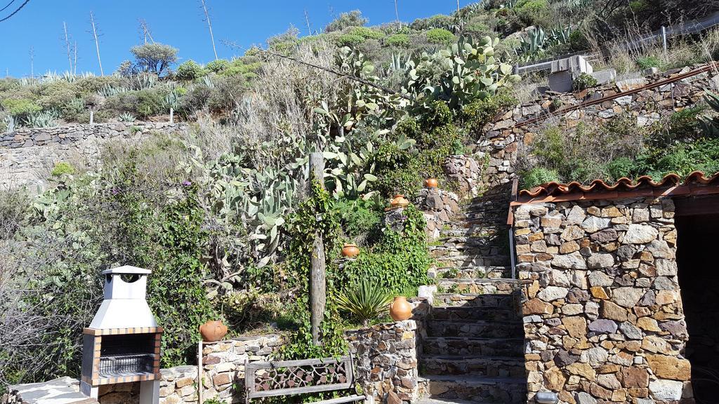Casa Rural - Laendliches Haus, Pepita La De Las Flores Tejeda  Ngoại thất bức ảnh